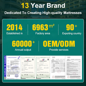 Phổ Biến Nhất Giá Thấp Chất Lượng Cao Polyester Vải Nệm Vua Kích Thước Sang Trọng Thoải Mái Mùa Xuân Nệm - Product Image 5