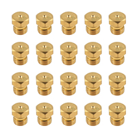 Kit de Conversión a Gas LP, Boquilla de Latón M6 de 0.75mm para Tubería de Gas Propano/GLP/Gas Natural, Calentador de Agua, Piezas para Quemadores DIY