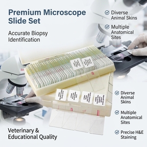 Juego de 16 Portaobjetos Preparados para <span class=keywords><strong>Microscopio</strong></span>, Biología General de Nivel Avanzado para Laboratorios de Secundaria y Universidad, CE ISO ROHS CNAS - Product Image 1