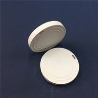 Logo Personnalisé Plâtre Suspendu Céramique Non Parfumé Absorber Parfum Diffuseur D'arôme Volatile Disque De Pierre