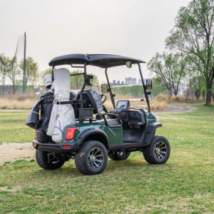 Productos Más Vendidos, Carrito de Golf Personalizable con Múltiples Configuraciones de Velocidad y Potencia para Satisfacer Diferentes Demandas - Product Image 5