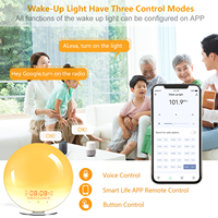 Aufwachlicht Sonnenaufgang-Wecker Smart WiFi USB App-gesteuerte Nachttischlampe Natürliche Geräusche FM-Radio Kunststoff 1 Jahr OEM ODM