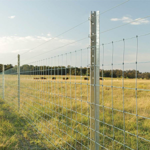 Factory Direct Sale Yuking Brand Galvanized Low Carbon Steel <b>Wire</b> Crimped Square <b>Mesh</b> Cattle Fence for Livestocks 2.0-3.0mm - Product Image 1