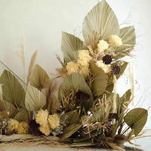 Décoration de mariage Grand <span class=keywords><strong>palmier</strong></span> sec <span class=keywords><strong>Éventail</strong></span> à feuilles tropicales Vraies feuilles de <span class=keywords><strong>palmier</strong></span> séchées naturelles Grandes feuilles de <span class=keywords><strong>palmier</strong></span> sèches naturelles - Product Image 5