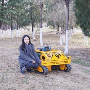 <span class=keywords><strong>เครื่อง</strong></span><span class=keywords><strong>ตัด</strong></span><span class=keywords><strong>หญ้า</strong></span>แบบรีโมทคอนโทรล รุ่นขายดี ขนาดเล็ก 550 มม. - Product Image 2