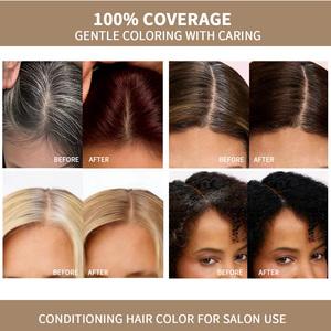 Crème Colorante Capillaire Naturelle à Base de Plantes Qualité Supérieure 500ml Teinte Cristalline Lumineuse Effet Soyeux Lisse Sûr pour le Cuir Chevelu Personnalisable - Product Image 3