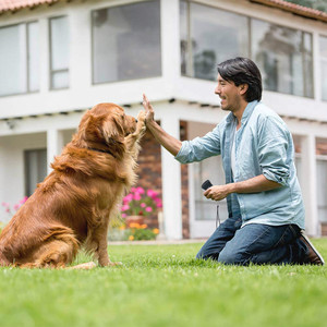 Repelente Ultrasónico para Perros de Doble Cabezal con Luces LED Dobles, Disuasivo y Ahuyentador de Perros para Exteriores, Hecho de Plástico - Product Image 4