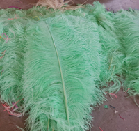Plumes d'autruche naturelles de 50 cm et 60 cm pour la confection artisanale DIY, vente en gros, plumes d'autruche bon marché pour les fêtes et le carnaval