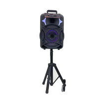Système de sonorisation 2.0 canaux 12 pouces avec télécommande 5.0, éclairage LED RGB 20W et micro intégré pour home cinéma et soirées