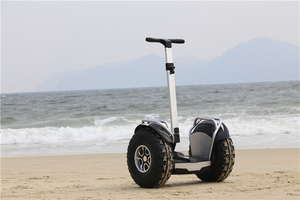 US Warehouse Two Wheel 19inch Off Road Smart Self Balancing 4000w Scooter Adult With Lithium Battery - Product Image 5