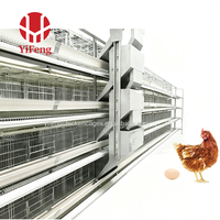 Cage à poulets de chair de type H galvanisée à chaud, 3 niveaux, avec plancher à lattes en plastique, alimentation automatique et élimination du fumier