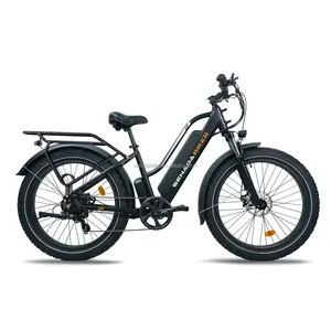 Senada V8 ban sepeda listrik 20 ", e-bike gunung 500W 48V 10ah ban lemak untuk dewasa dengan pembawa depan