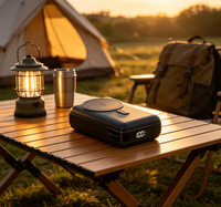 Batterie externe magnétique sans fil 20000mAh, charge rapide PD20W, charge sans fil 15W, batterie externe portable