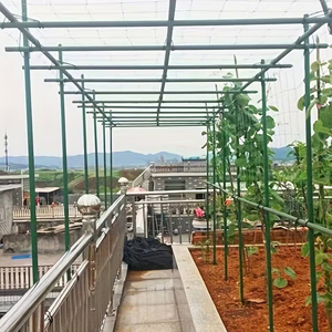 Tubería de acero recubierta de plástico interior especial para plantación de jardinería - Product Image 5