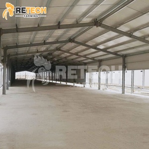 Poulailler préfabriqué moderne entièrement automatisé à ventilation par tunnel - Product Image 3