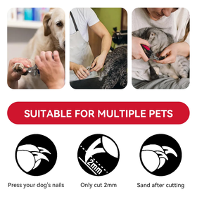 Stainless Steel Pet Nail <b>Scissors</b> Small Style Easy-to-Use Clipper Hair Cutting Soft Rubber Plastic <b>Dogs</b> Cats Rabbits Birds - Product Image 5