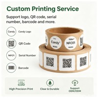 Étiquette autocollante NFC RFID 13,56 MHz NTAG215, réinscriptible, pour la maison intelligente, le suivi des stocks et des actifs