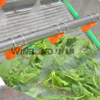 Volautomatische Plantaardige Verwerkingsapparatuur Met Bubbelreiniging