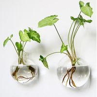 Vase mural en verre de style bohème, écologique, pour plantes hydroponiques, bouteille en verre soufflé artificiellement en forme de sphère, pour poissons et fleurs
