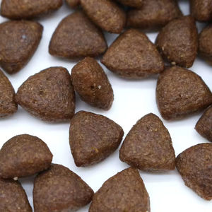 Ração Seca para Cães Sem Grãos com Alto Teor de Proteína e Sabor de Salmão para Ganho Muscular e Ingredientes Selecionados - Product Image 2