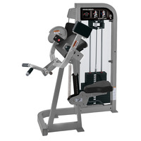 Équipement de musculation pour usage commercial, machine d'entraînement en acier réglable pour les biceps, les bras, les jambes, le dos, entraînement physique
