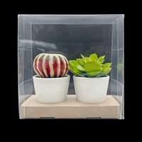 Boîte transparente réutilisable en PVC/PET écologique pour l'emballage de thé, aliments, bougies, plantes en pot et ornements, avec options de gaufrage personnalisables