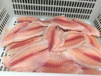 Filet de Tilapia Blackchin IQF Congelé de Qualité Supérieure, Sans Os, Sans Peau, Emballé Sous Vide, Tailles 3-5, 5-7, 7-9 oz, Durée de Conservation de 24 Mois