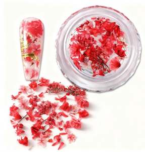 <span class=keywords><strong>Flores</strong></span> <span class=keywords><strong>Secas</strong></span> <span class=keywords><strong>en</strong></span> 1 Frasco para Manualidades con Resina, Arte de <span class=keywords><strong>Uñas</strong></span>, Mezcla de <span class=keywords><strong>Flores</strong></span> Pequeñas, Mini <span class=keywords><strong>Flores</strong></span> para Decoración de <span class=keywords><strong>Uñas</strong></span>, Accesorios de Verano para <span class=keywords><strong>Uñas</strong></span> - Product Image 4