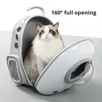 Sac de transport pour animaux de compagnie, transparent, respirant, grande capacité, ouverture latérale, double fermeture éclair, pour chats, tendance et portable