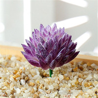 Grosir DIY Mini Faux Kepala Bunga Plastik Buatan Succulents Tanaman untuk Rumah Dekorasi Meja