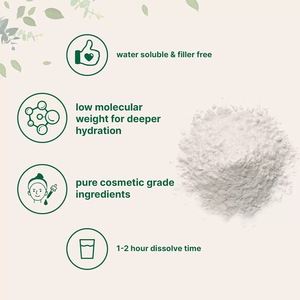 Poudre d'acide hyaluronique végétarienne OEM E, supplément de collagène - Product Image 5