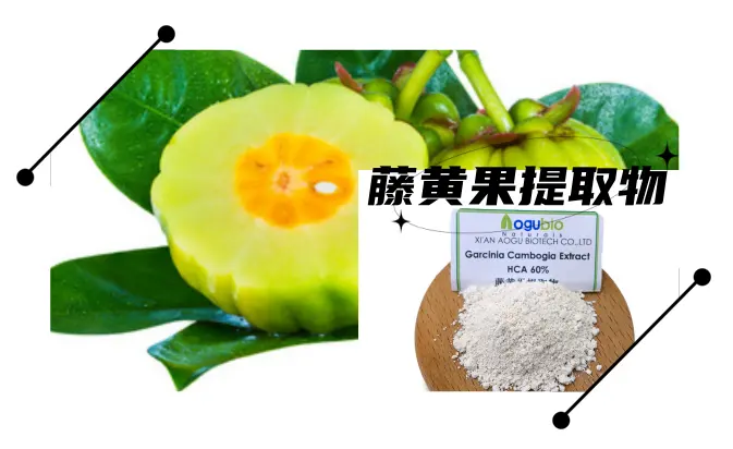 Dukungan alami untuk tujuan berat dan energi murni ekstrak Garcinia Cambogia 60% konsentrasi HCA