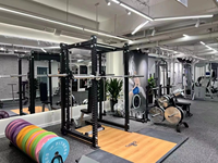 Machine à ramer assise SK pour salle de sport commerciale, en acier Q235 de 3,0 mm, à charge par broches, pour l'entraînement de la force dorsale en salle de sport professionnelle et installations de fitness