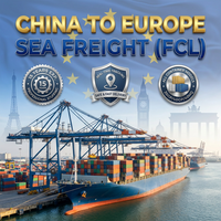 Agent maritime fiable pour l'expédition de conteneurs complets (FCL) de la Chine vers les États-Unis et le Canada – Fret maritime 20 pieds, 40 pieds, 40HQ