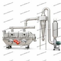 Séchoir à lit fluidisé vibrant DZJX de qualité alimentaire et chimique pour la séchage de levure, d'enzymes, d'acides aminés, de glutamate monosodique (MSG) en poudre et en granulés