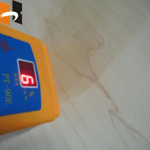 Foglio <span class=keywords><strong>di</strong></span> <span class=keywords><strong>Compensato</strong></span> Decorativo in <span class=keywords><strong>Legno</strong></span> d'Acero Naturale Impiallacciato - Product Image 5