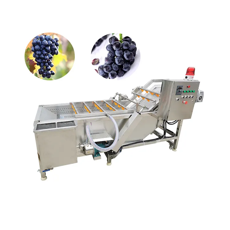 Industrial Malaysia Review Fruit Vegetable Cleaning Bubble Hash Washing Machine for Avocado