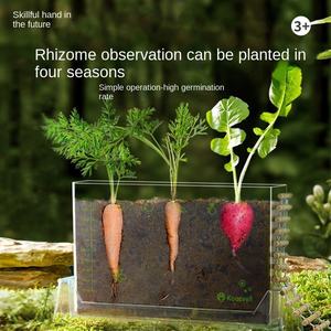 Kit d'observation des racines pour enfants, jouet scientifique STEM, kits de culture artisanale pour cadeaux d'anniversaire, de Pâques pour garçons, filles, enfants, ensemble de jardinage, jouet DIY - Product Image 2