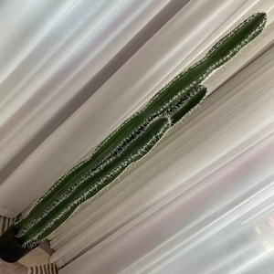 Vente directe d'usine, plante de <span class=keywords><strong>cactus</strong></span> épineux, <span class=keywords><strong>cactus</strong></span> artificiel, décoration intérieure et extérieure - Product Image 5