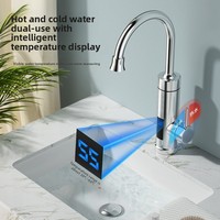 Robinet d'eau chaude/froide électrique instantané 3000W en acier inoxydable 304, température réglable, design rotatif pour camping-car, utilisation extérieure et automobile