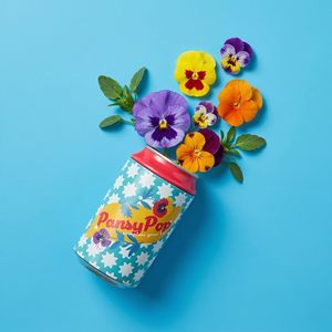 Kit per la coltivazione di fiori, confezione da 6: Pansy, Lavanda e Margherita in lattine, per giardinaggio indoor, bomboniere e set regalo - Product Image 1