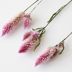 Ramo de Flores de <span class=keywords><strong>Celosia</strong></span> Secas Naturales, Ramo de Flores Secas Preservadas Reales para Decoración del Hogar, Arreglos Florales para Bodas - Product Image 6