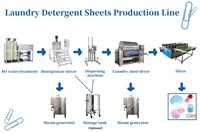 Máquina para Fabricar Hojas de Detergente para Ropa con Doble Enzima y Pulverización Automática de Enzimas Líquidas y Sólidas