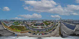 <span class=keywords><strong>Huile</strong></span> <span class=keywords><strong>de</strong></span> <span class=keywords><strong>noix</strong></span> pressée à froid <span class=keywords><strong>de</strong></span> qualité alimentaire, riche en DHA, idéale pour la nourriture pour bébés et la nutrition quotidienne - Product Image 5