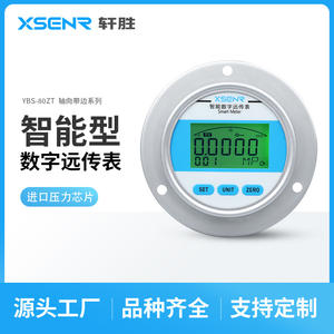 Manómetro Digital XSENR de 80 mm YBS80ZT 4-20 mA RS485 con Pantalla Remota, Instrumento de Precisión - Product Image 4