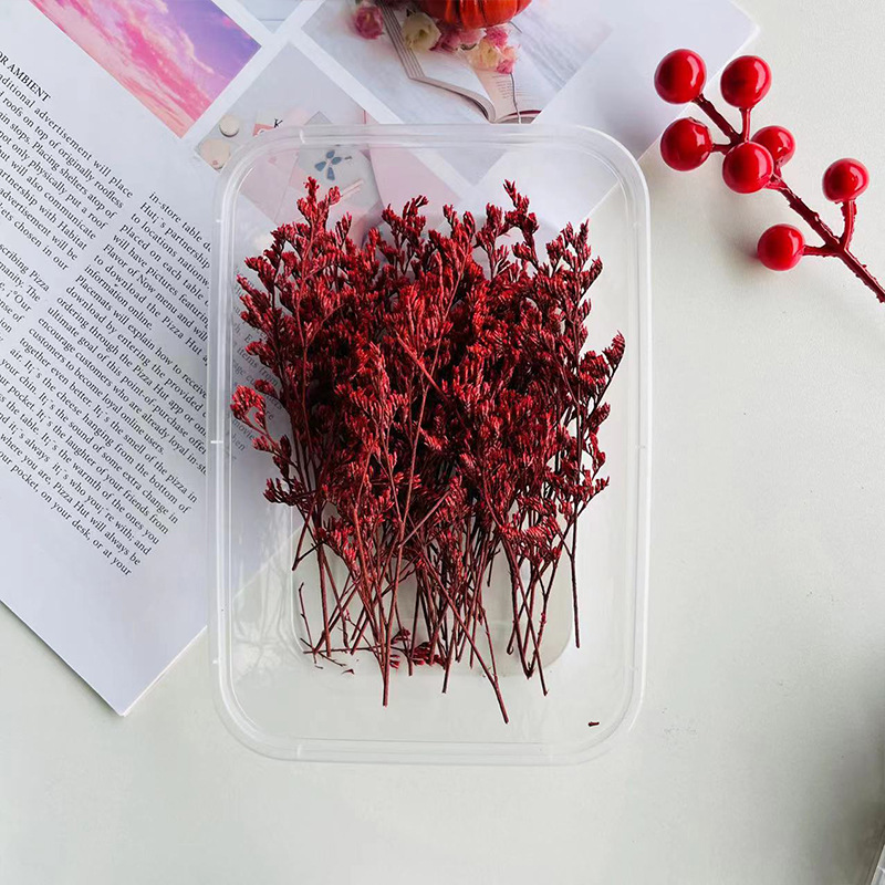 Erba rossa amante 10 grammi