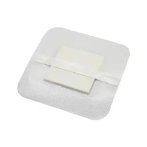 Waterproof Composite Dressing Waterproof Island Wound Dressing Wound Care