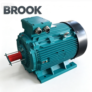 Motor Brookcrompton de 30kw 40hp para Uso Industrial, Motor de Inducción Trifásico - Product Image 1