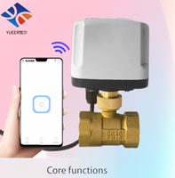 Commande à distance personnalisée en usine de la vanne à bille 2 voies DN15 DN50 vanne à bille électrique fonction de télécommande Wi-Fi