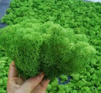 Lièvre — moderne en mousse de renne, vert naturel, pour décorer l'intérieur, avec un DIY, vert, stabilisateur, vente en gros
